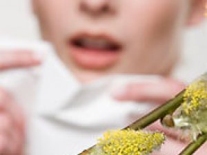 ÝAKYMLY  BAHARYŇ  ÝAKYMSYZ  "SOWGATLARY" - POLLINOZ