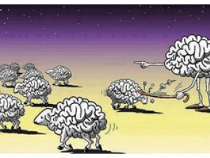 EGER PIKIRLENIP GÖRSEK...