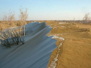 SEN ÇÖLLEŞME BARADA NÄME BILÝÄRSIŇ?