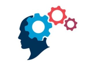 TANKYDY PIKIRLENME UKYBYNY KÄMILLEŞDIRMEGIŇ 5 ÝÖNEKEÝ ÝOLY