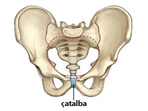 GÖWRELILIKDE DÖREÝÄN SIMFIZIT: SEBÄPLERI, ALAMATLARY
