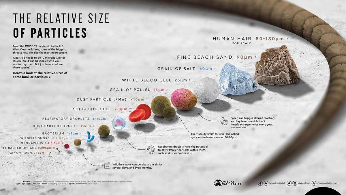 Aral relative size of particles