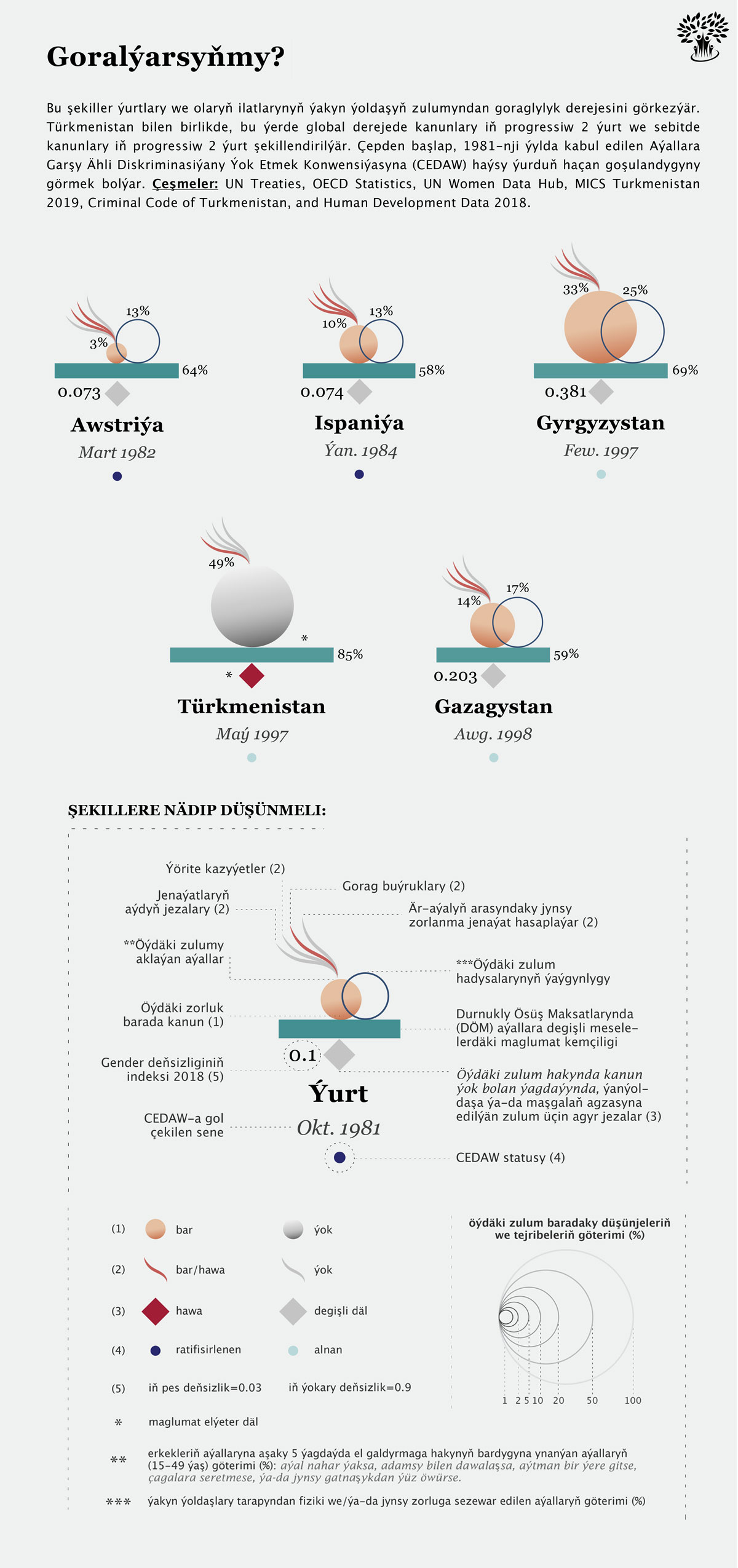 DV Legal Story Turkmen